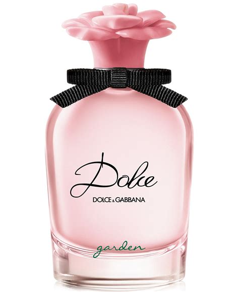 dolce by dolce & gabbana perfume|dolce and gabbana perfume new.